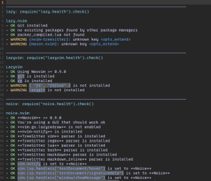 Lazyvim checkhealth.png