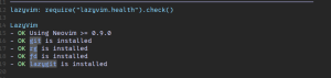 Lazyvim-checkhealth2.png